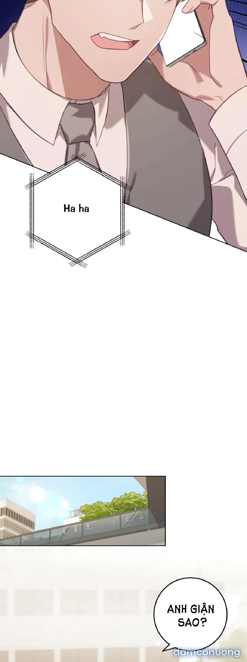 Sự Sụp Đổ 