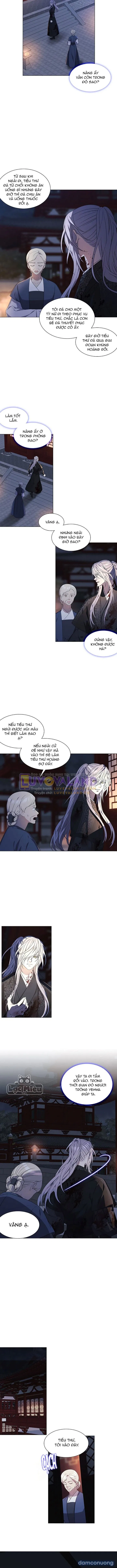 Quyến Rũ Cáo Trắng 