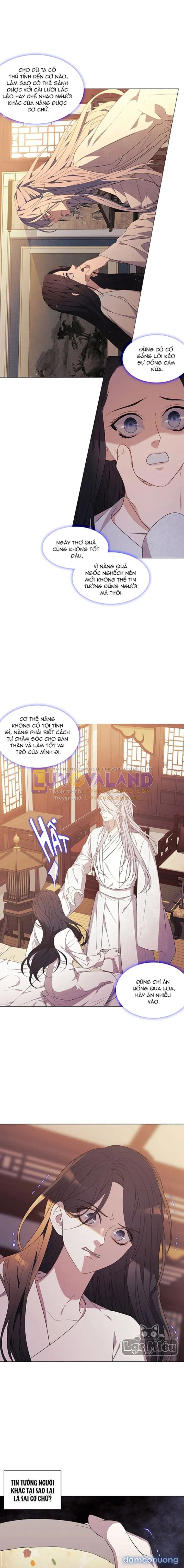 Quyến Rũ Cáo Trắng 