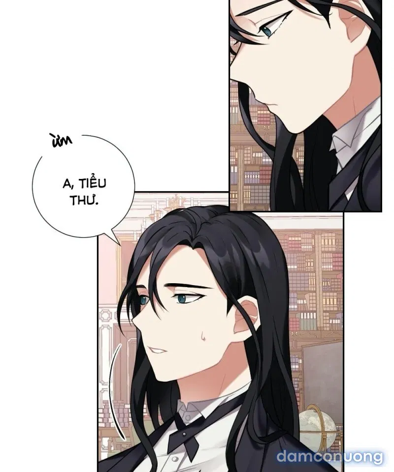 Tiểu Thư Và Những Người Hầu 