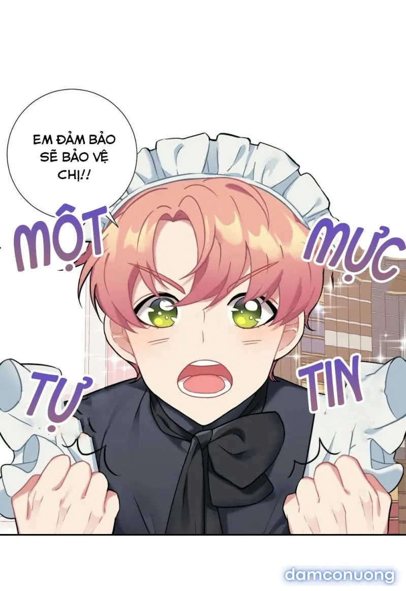 Tiểu Thư Và Những Người Hầu 