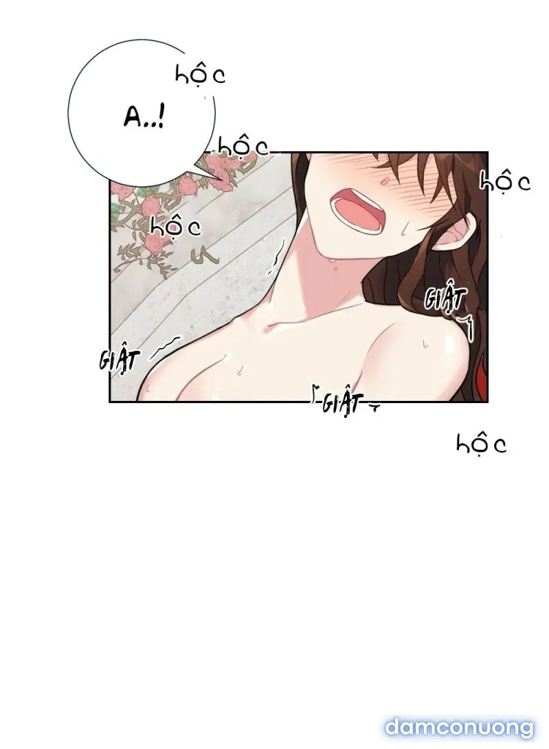 Tiểu Thư Và Những Người Hầu 