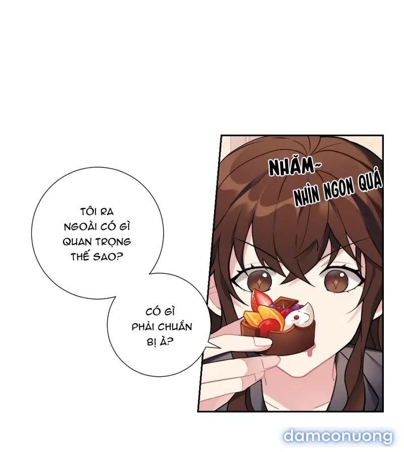 Tiểu Thư Và Những Người Hầu 
