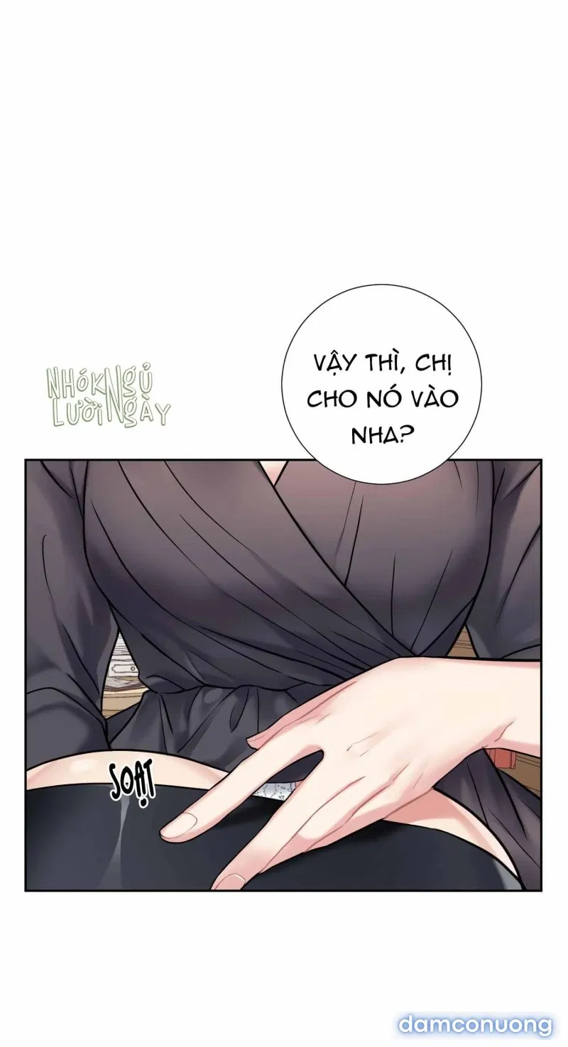Tiểu Thư Và Những Người Hầu 