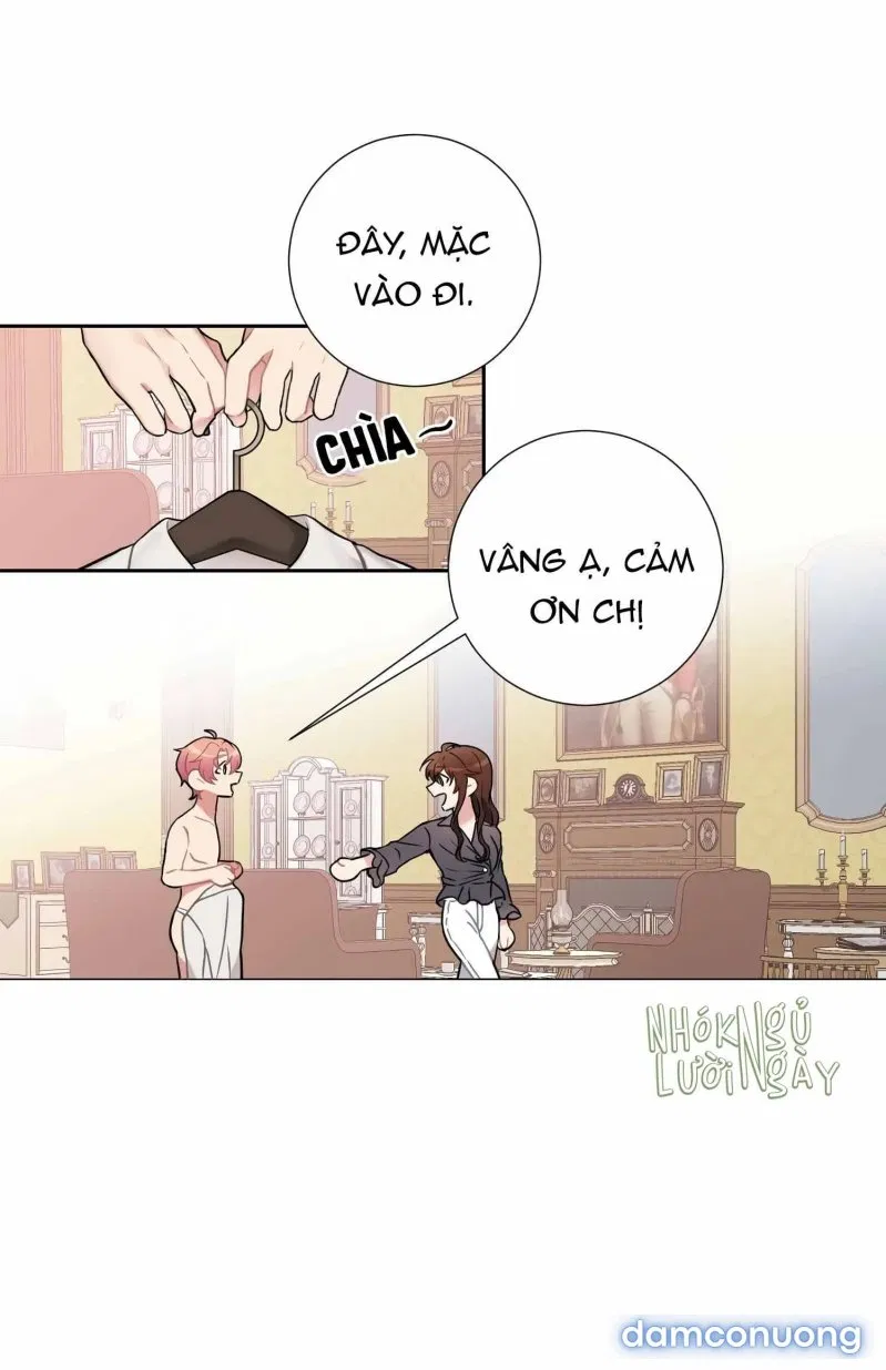 Tiểu Thư Và Những Người Hầu 