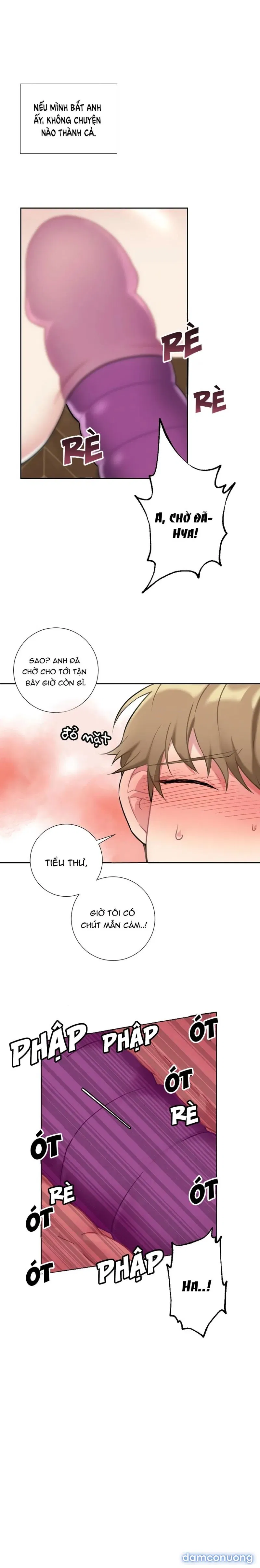 Tiểu Thư Và Những Người Hầu 