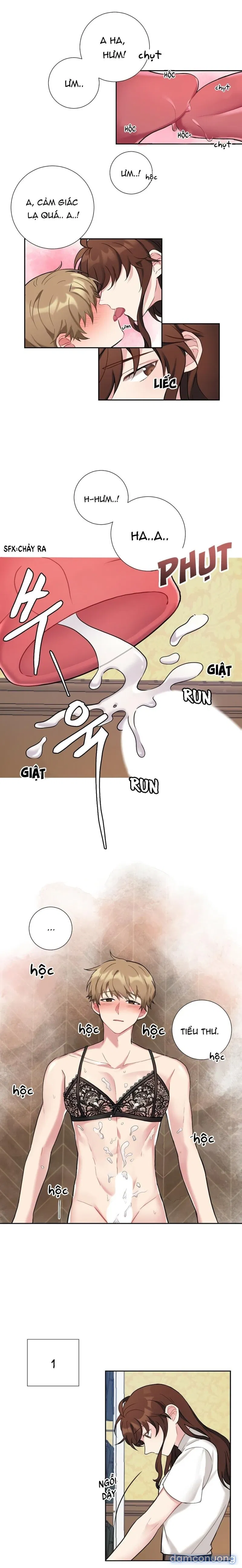 Tiểu Thư Và Những Người Hầu 