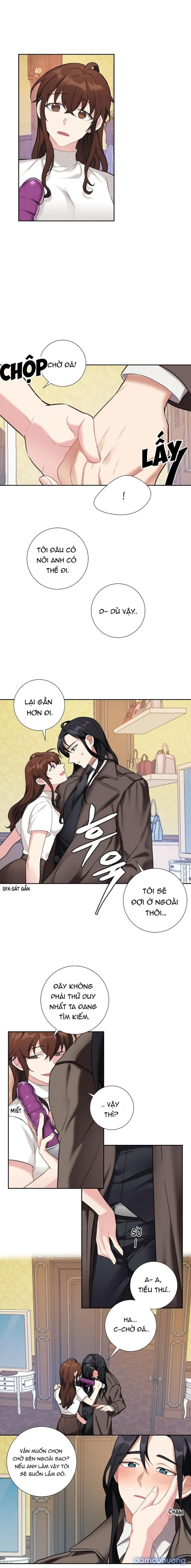 Tiểu Thư Và Những Người Hầu 