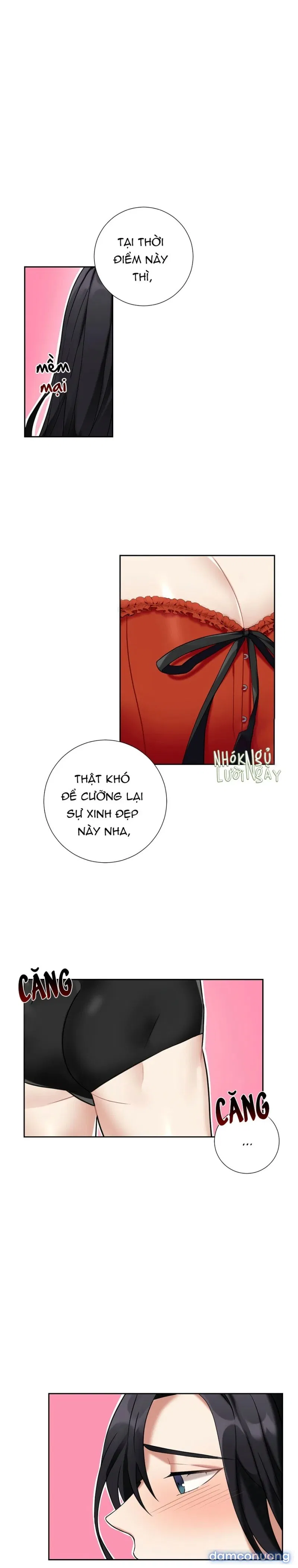 Tiểu Thư Và Những Người Hầu 