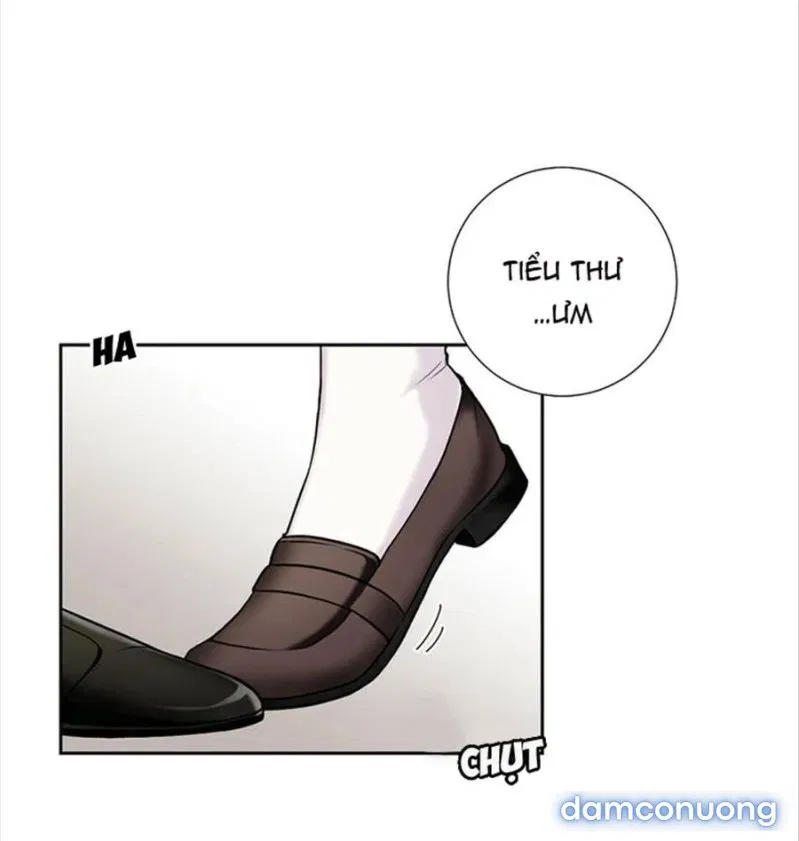 Tiểu Thư Và Những Người Hầu 