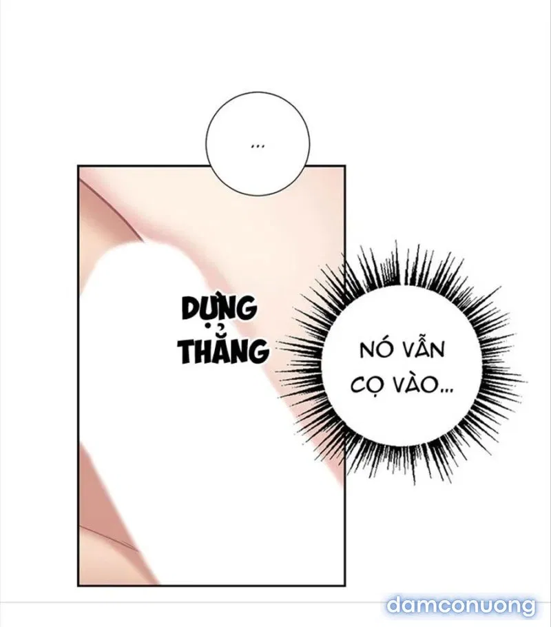 Tiểu Thư Và Những Người Hầu 