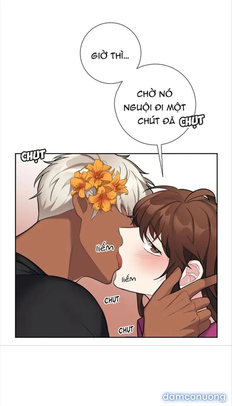 Tiểu Thư Và Những Người Hầu 