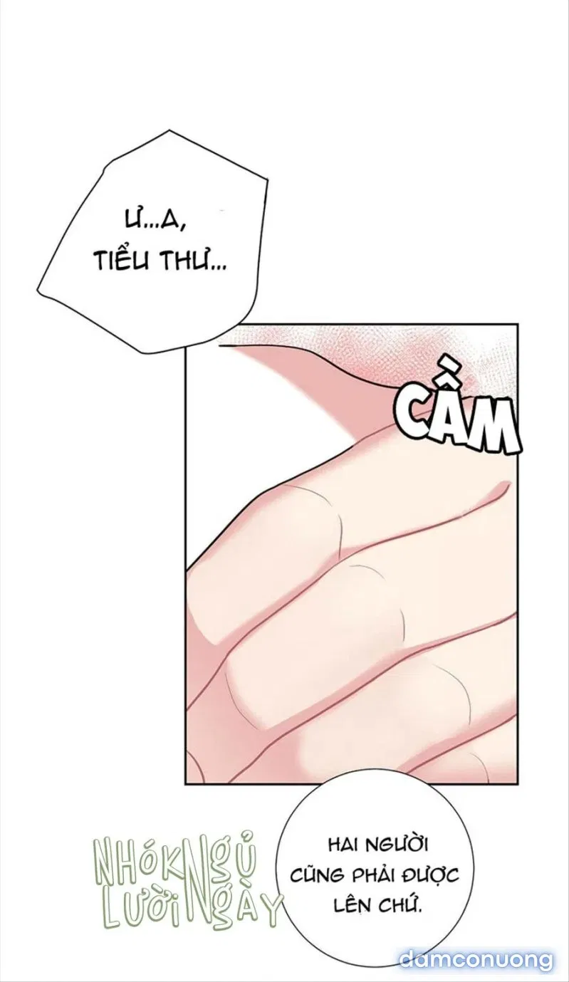 Tiểu Thư Và Những Người Hầu 