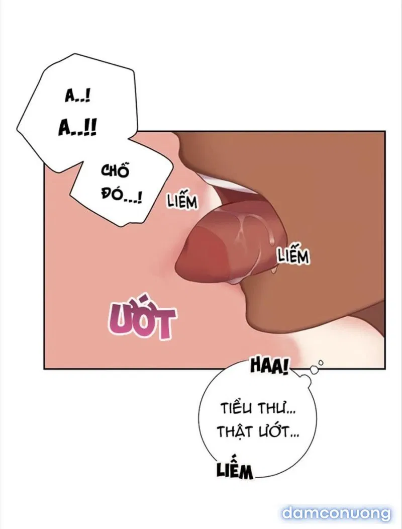 Tiểu Thư Và Những Người Hầu 