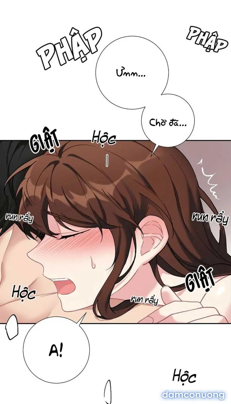 Tiểu Thư Và Những Người Hầu 
