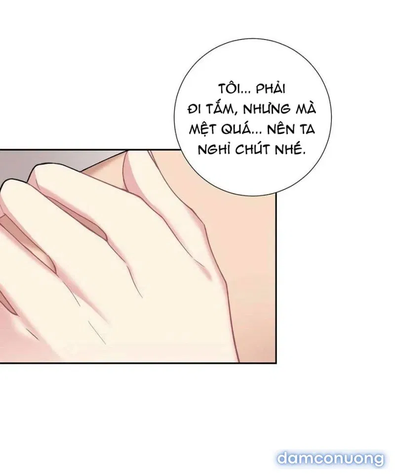 Tiểu Thư Và Những Người Hầu 