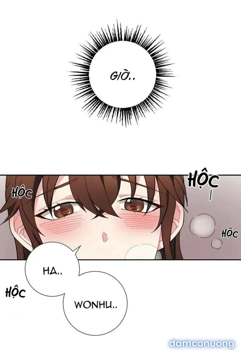 Tiểu Thư Và Những Người Hầu 