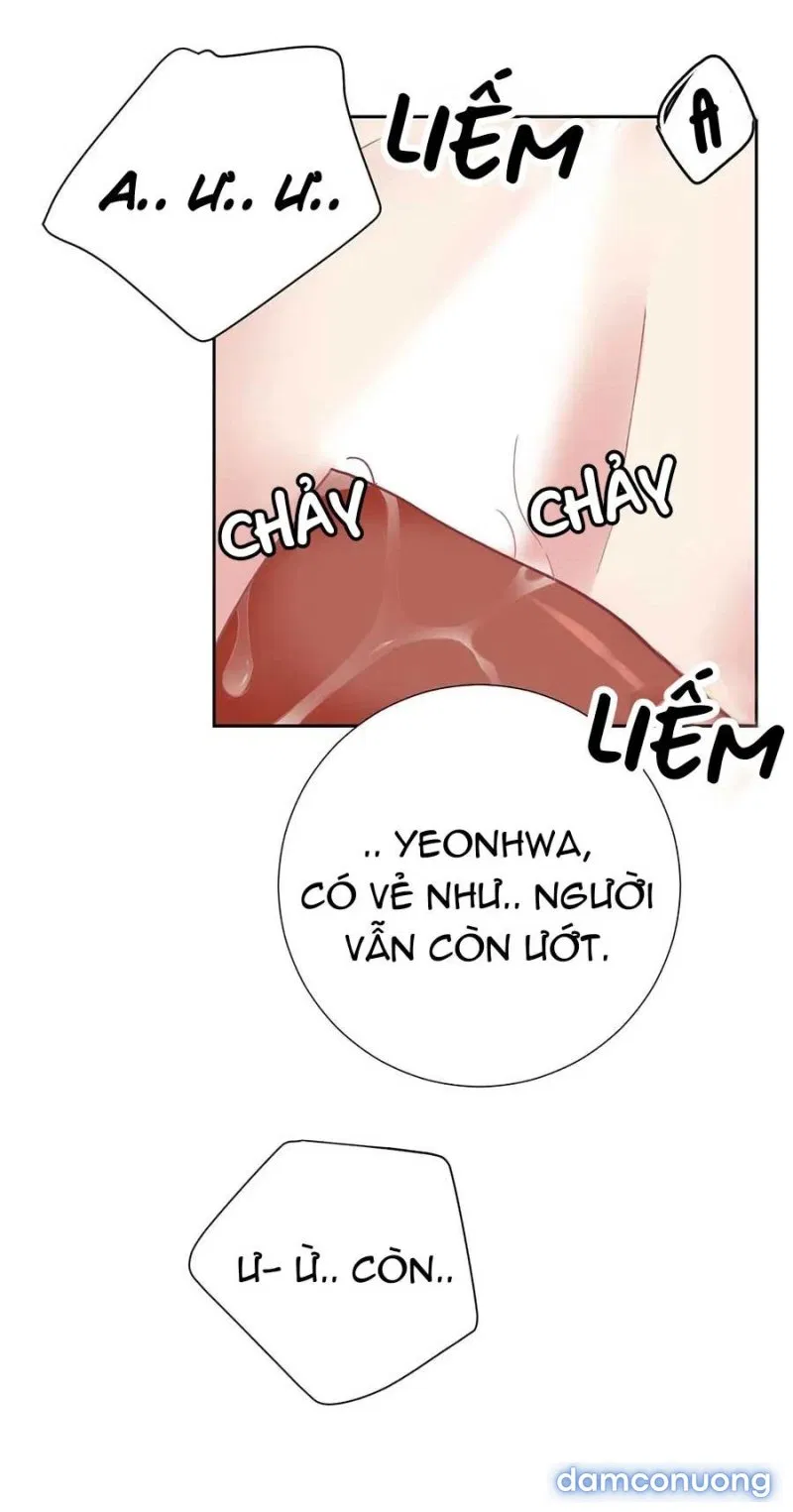 Tiểu Thư Và Những Người Hầu 