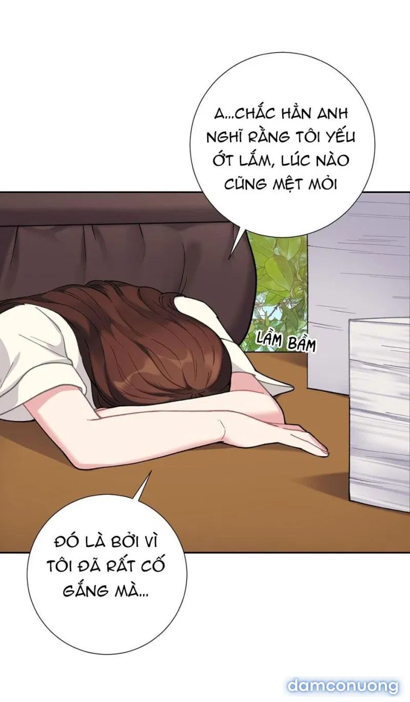 Tiểu Thư Và Những Người Hầu 