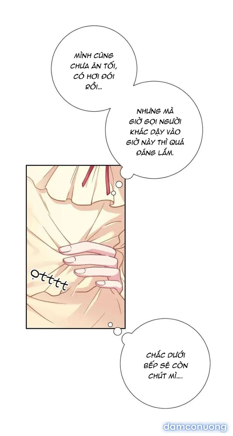 Tiểu Thư Và Những Người Hầu 