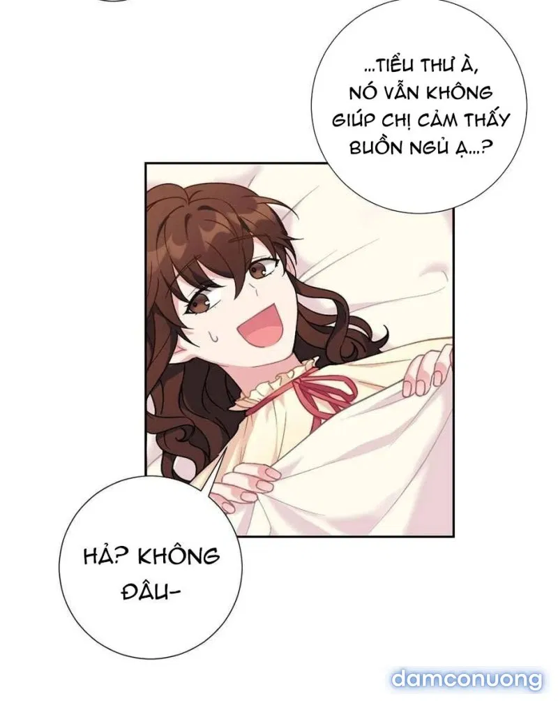 Tiểu Thư Và Những Người Hầu 