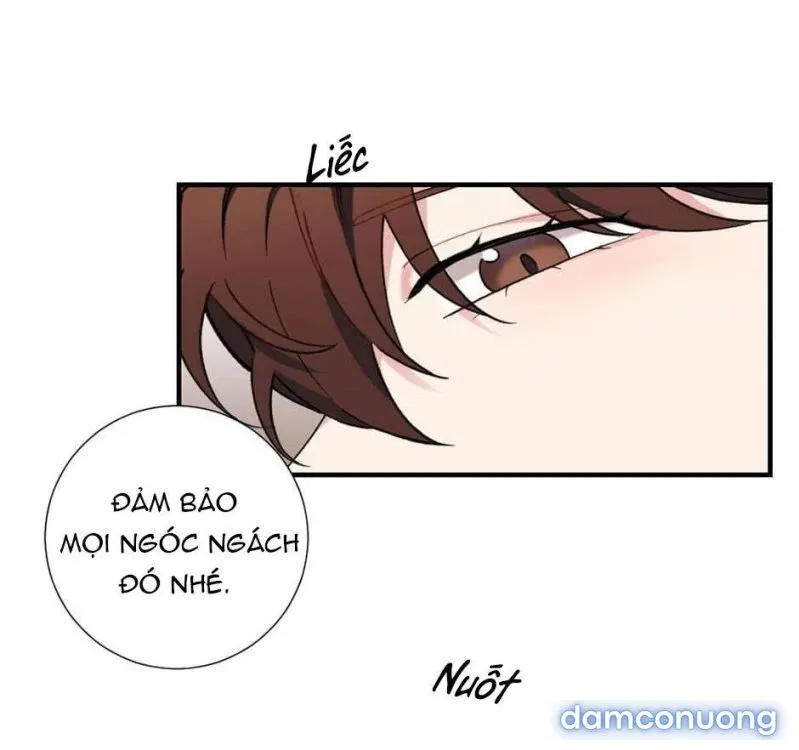 Tiểu Thư Và Những Người Hầu 