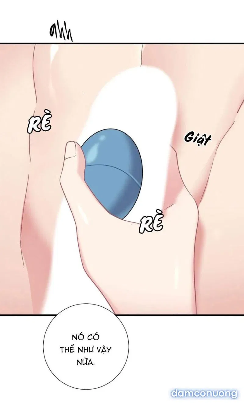 Tiểu Thư Và Những Người Hầu 