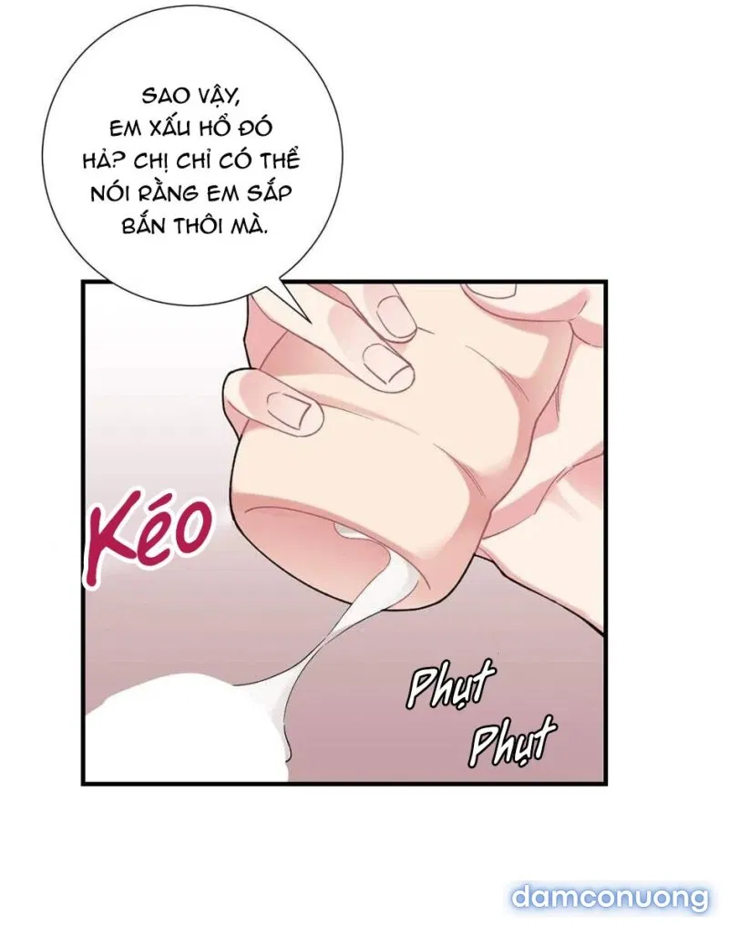 Tiểu Thư Và Những Người Hầu 