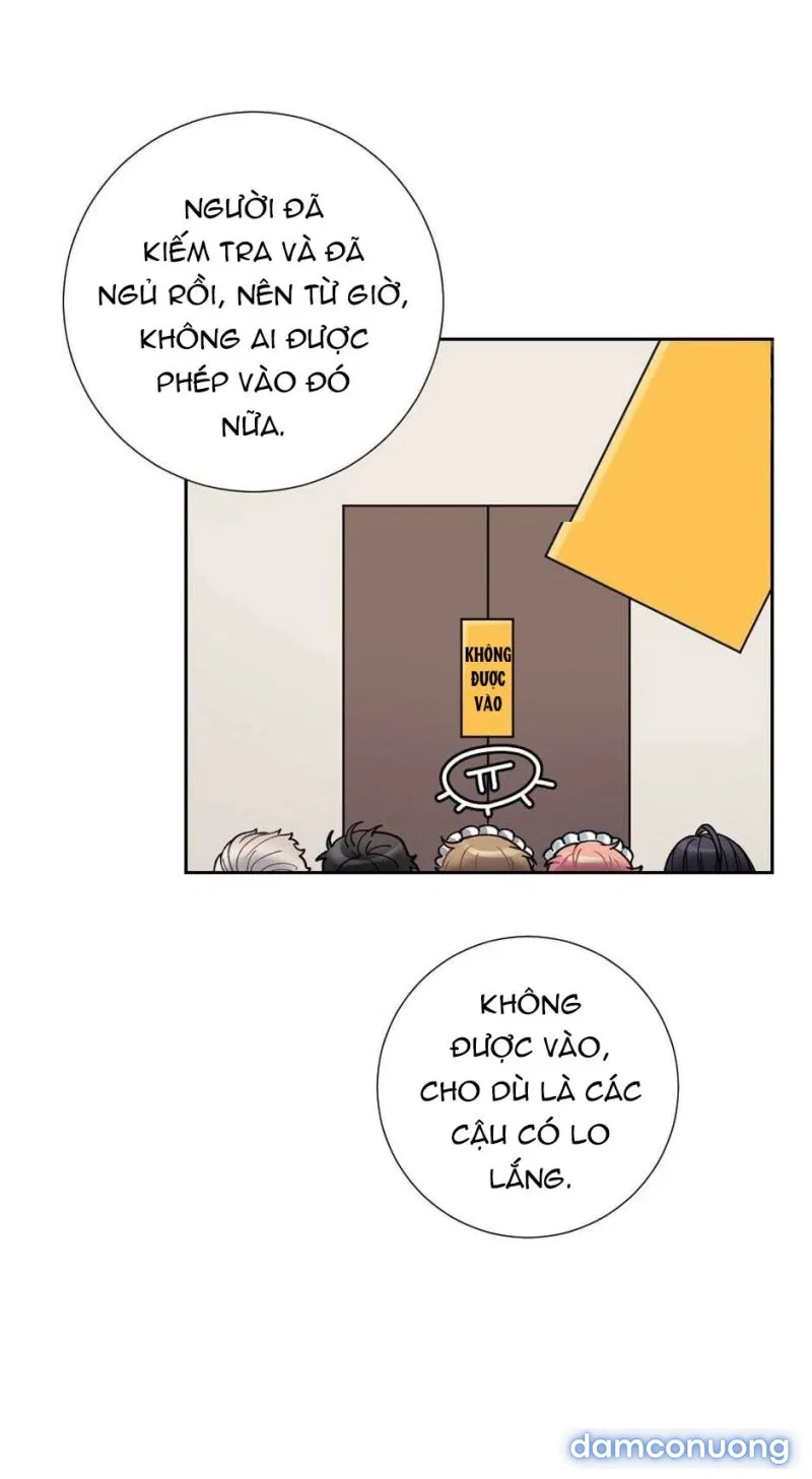 Tiểu Thư Và Những Người Hầu 