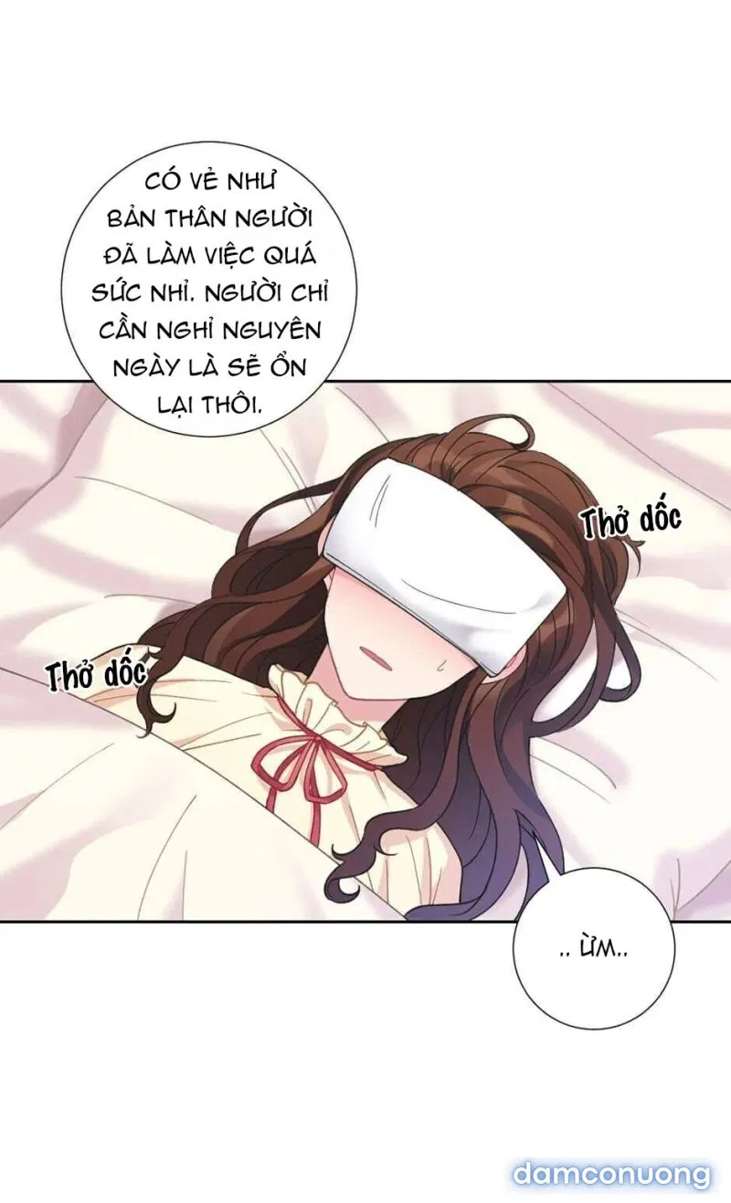 Tiểu Thư Và Những Người Hầu 