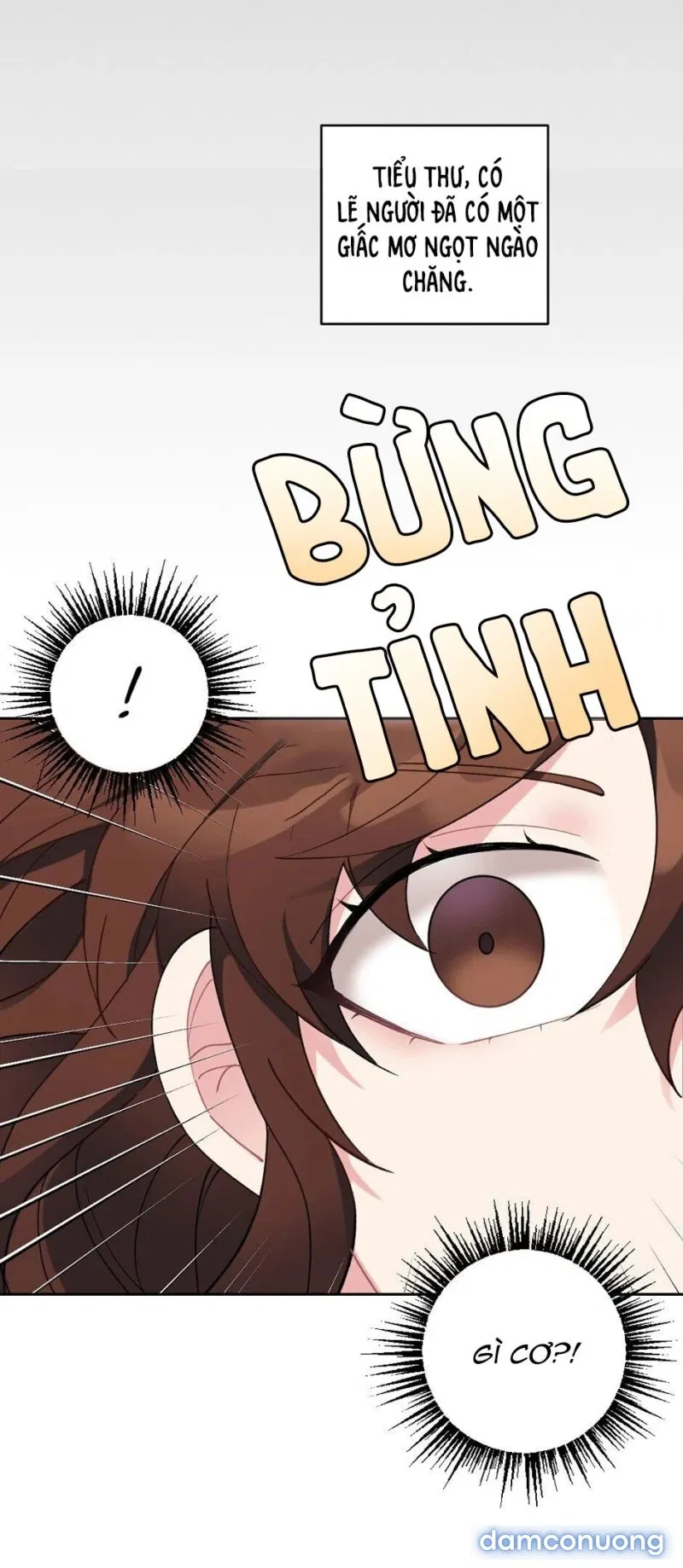 Tiểu Thư Và Những Người Hầu 