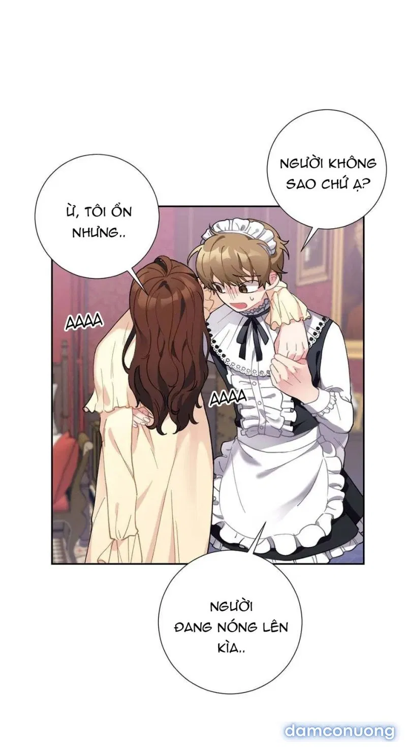 Tiểu Thư Và Những Người Hầu 