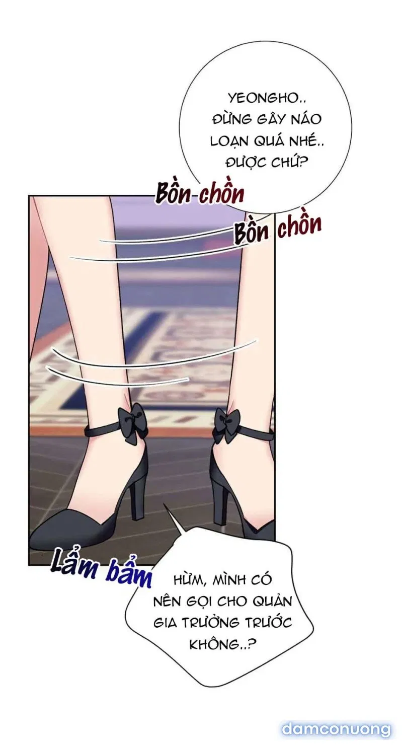 Tiểu Thư Và Những Người Hầu 