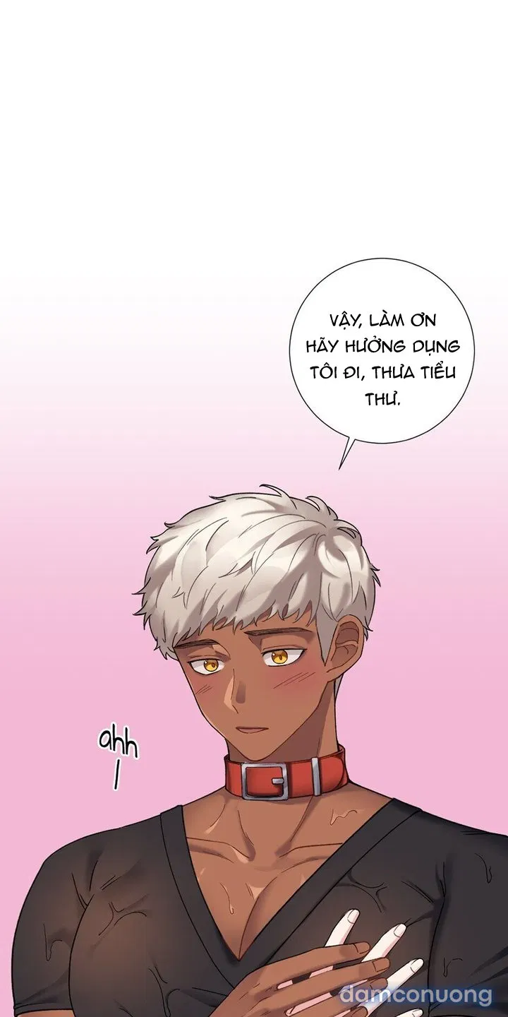 Cô Chủ Và Người Hầu 
