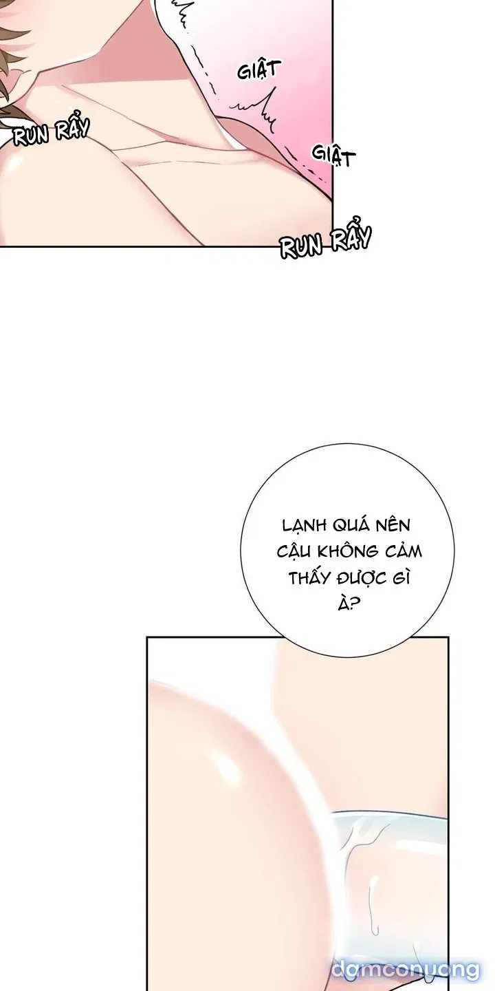Cô Chủ Và Người Hầu 