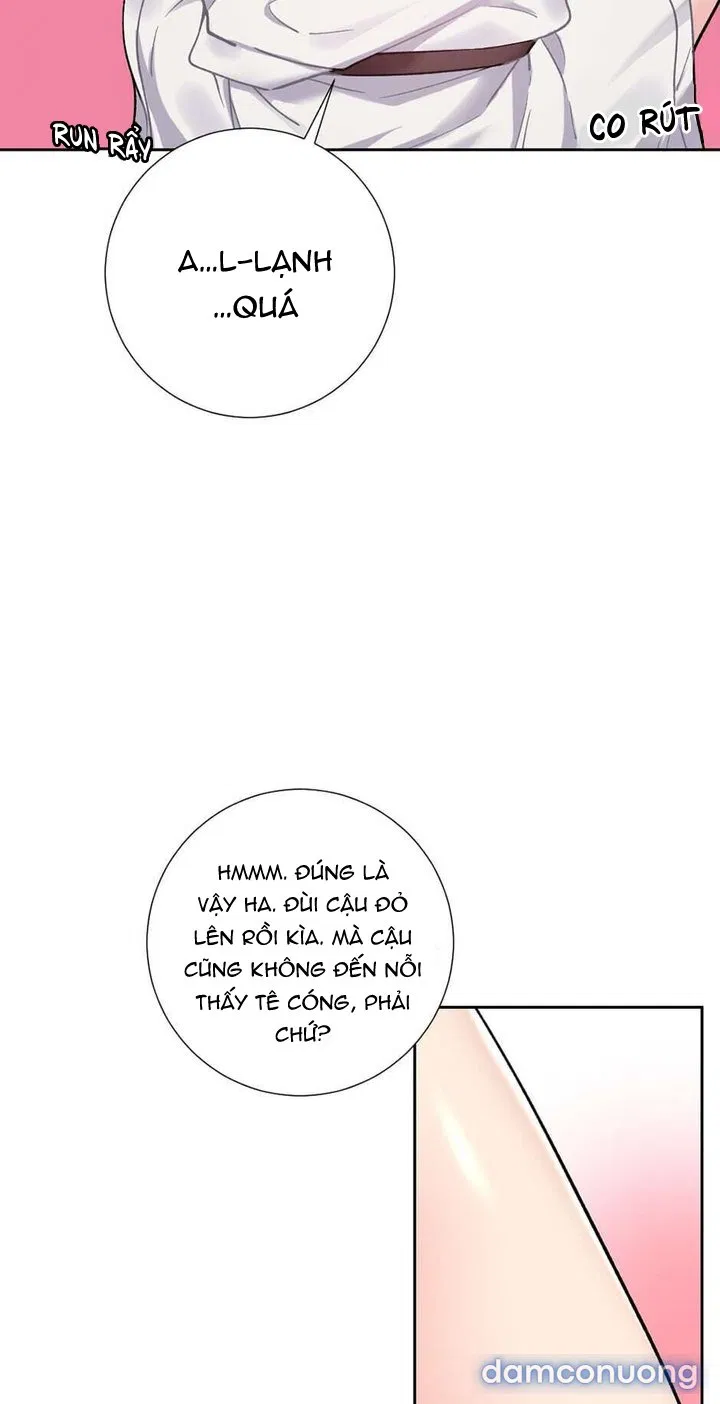 Cô Chủ Và Người Hầu 