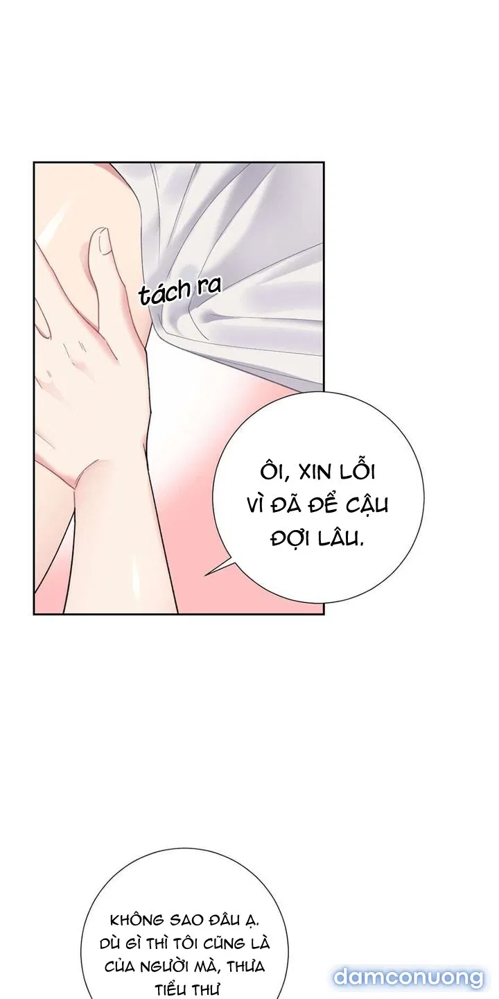 Cô Chủ Và Người Hầu 