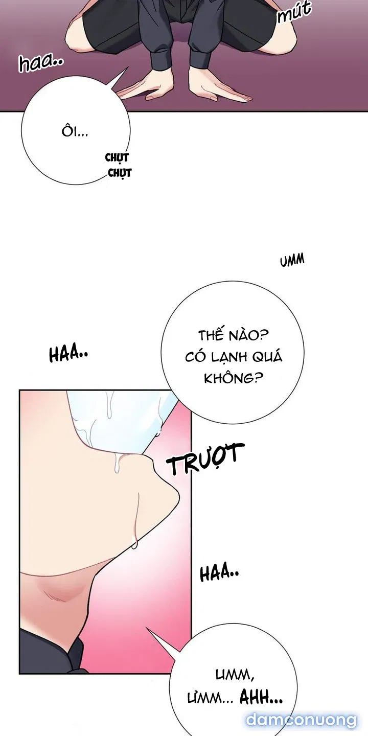 Cô Chủ Và Người Hầu 