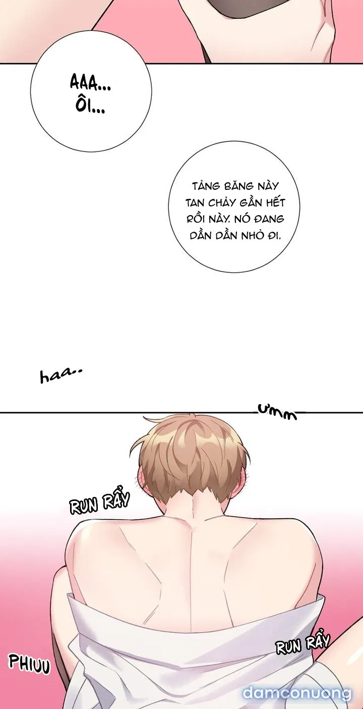 Cô Chủ Và Người Hầu 