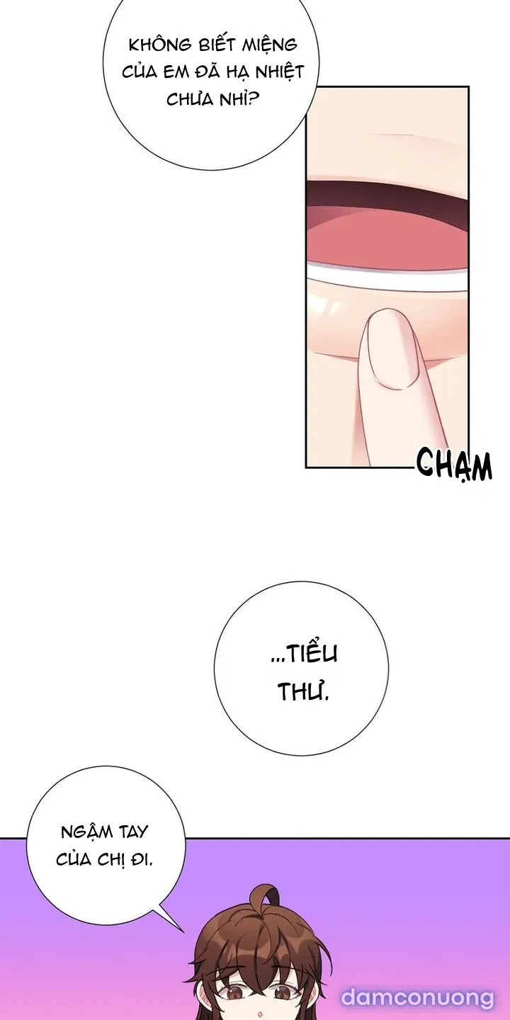 Cô Chủ Và Người Hầu 