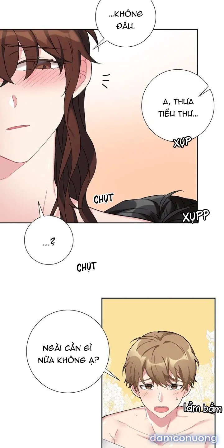 Cô Chủ Và Người Hầu 