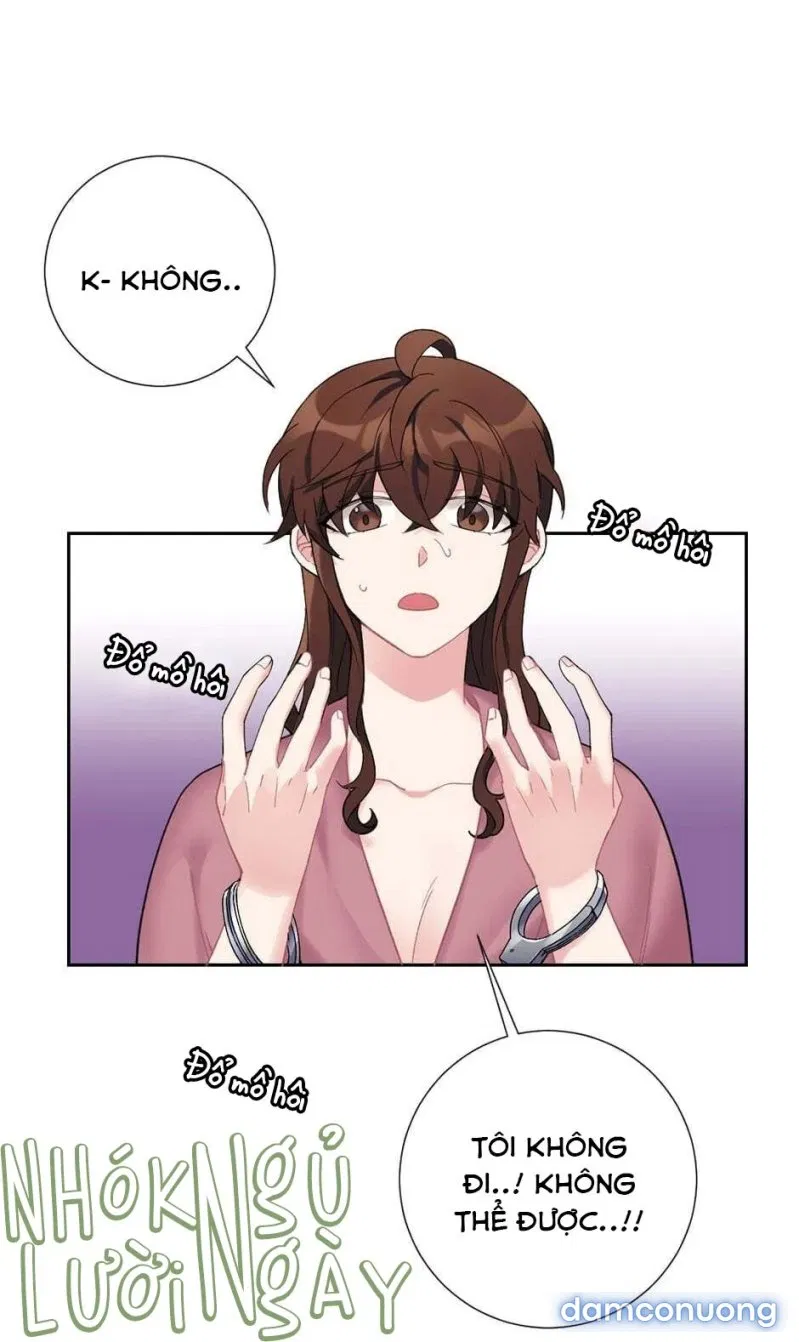 Tiểu Thư Và Những Người Hầu 