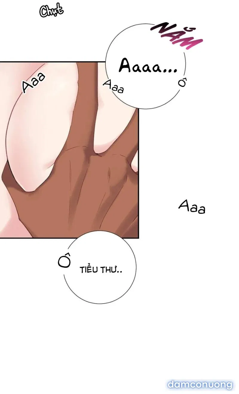 Tiểu Thư Và Những Người Hầu 