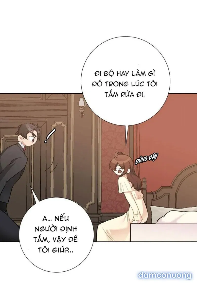 Tiểu Thư Và Những Người Hầu 