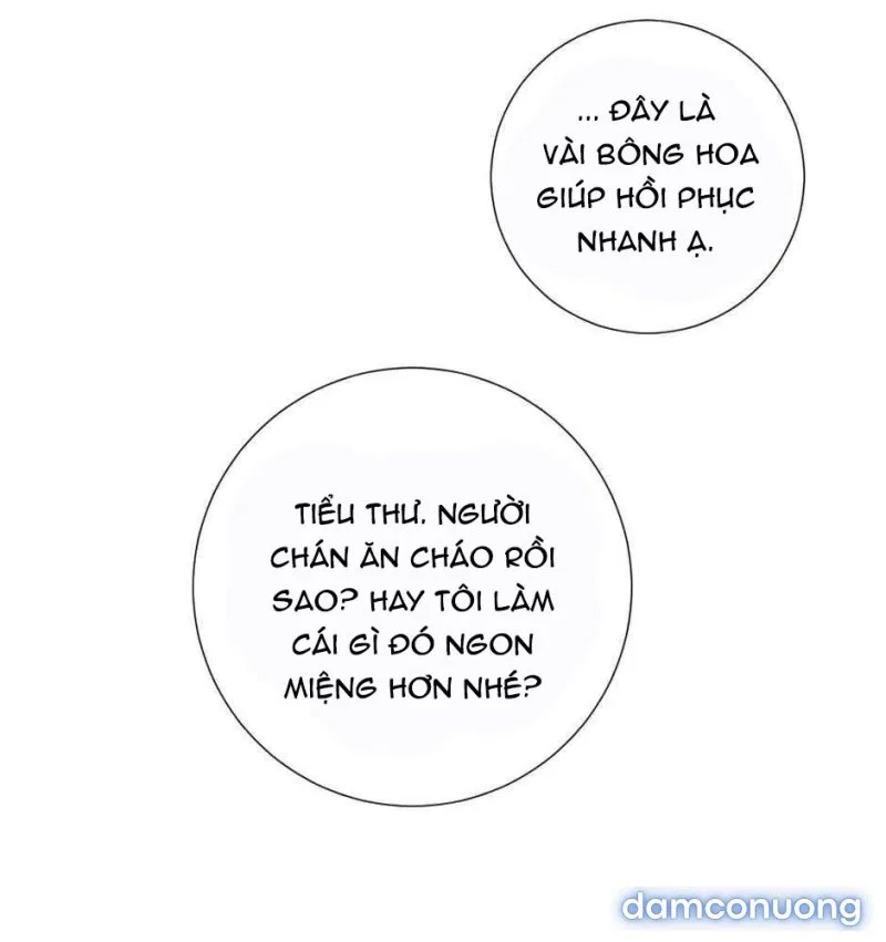 Tiểu Thư Và Những Người Hầu 