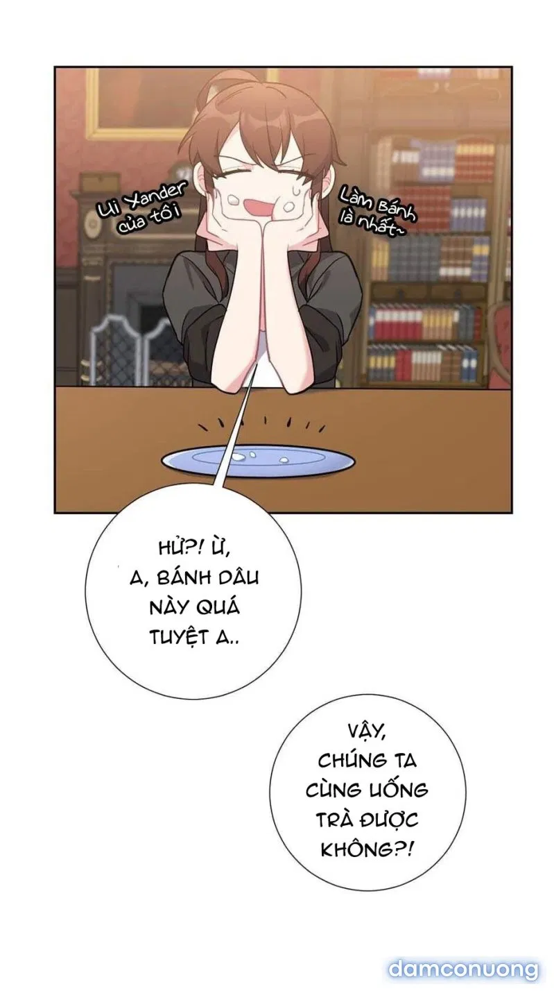 Tiểu Thư Và Những Người Hầu 