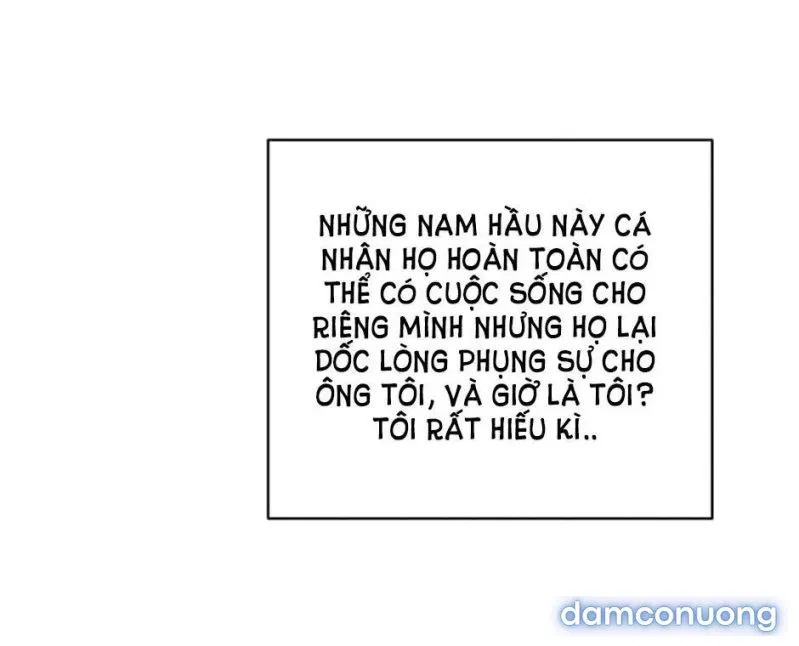 Tiểu Thư Và Những Người Hầu 