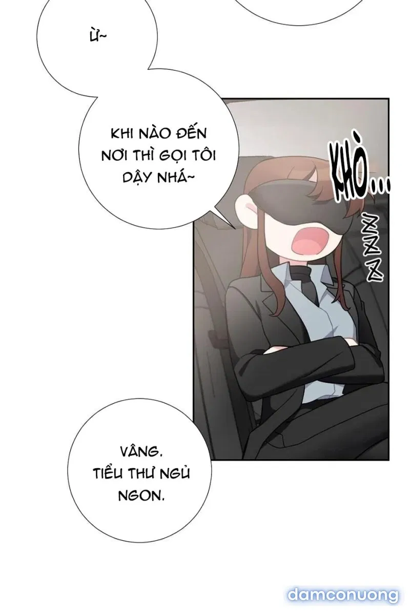 Tiểu Thư Và Những Người Hầu 
