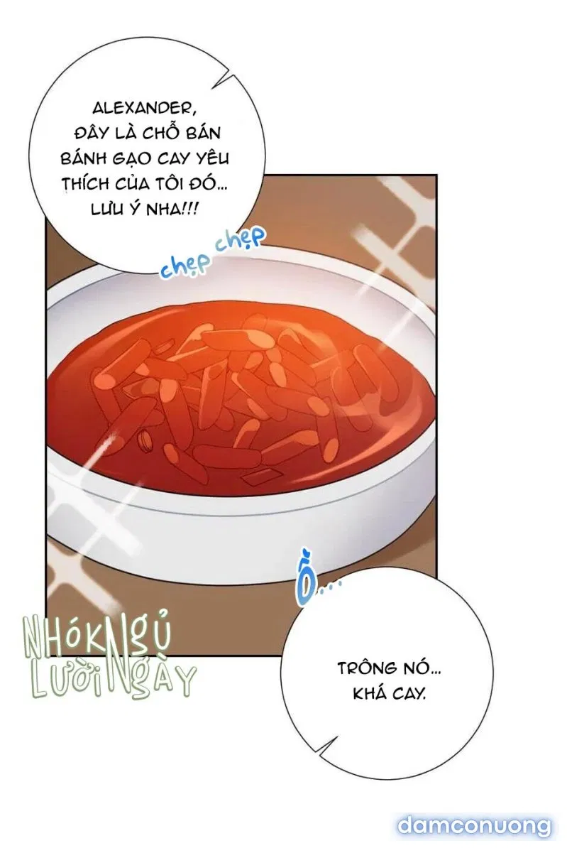 Tiểu Thư Và Những Người Hầu 