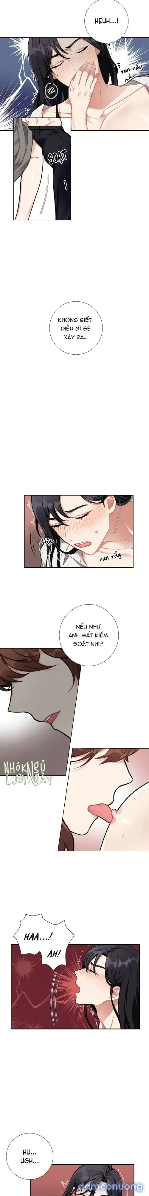 Tiểu Thư Và Những Người Hầu 